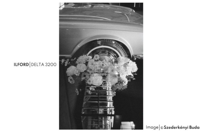 DELTA320059