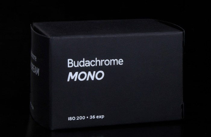 budaMONO