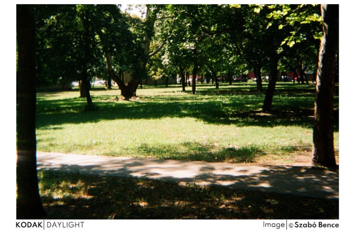 daylight9