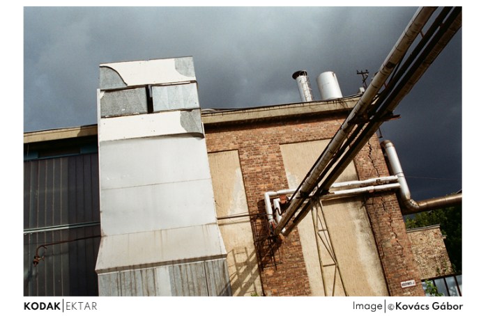 ektar_12