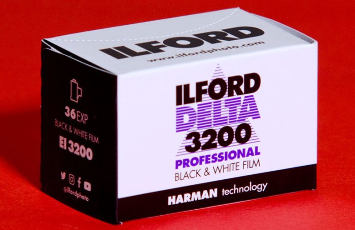 ilford-delta-3200-364