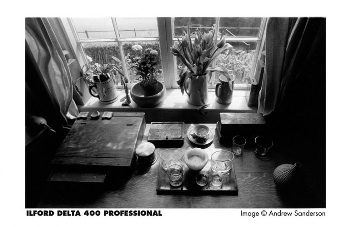 ilford-delta400-120-sample3