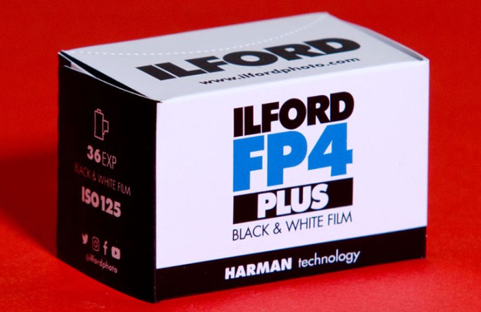 ilford-fp4-3648