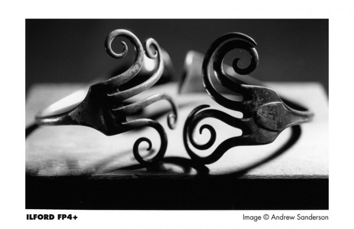 ilford_fp4plus_sample_image5