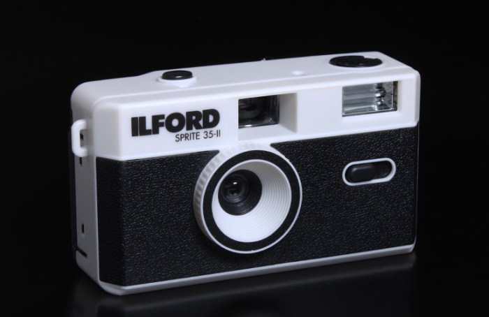 ilfordsilverblack1