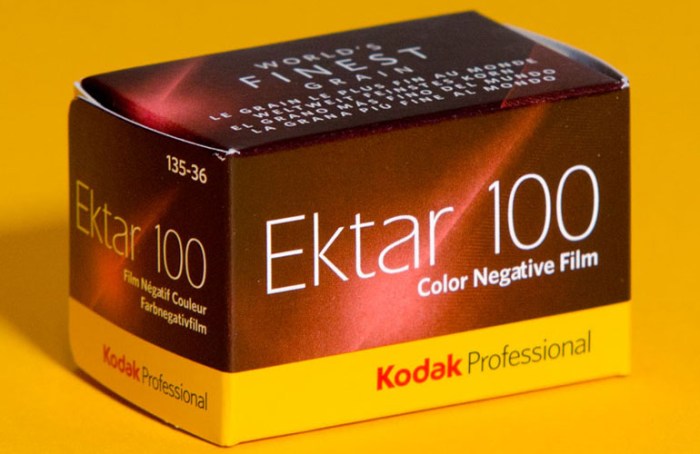 kodak-ektar-100-364