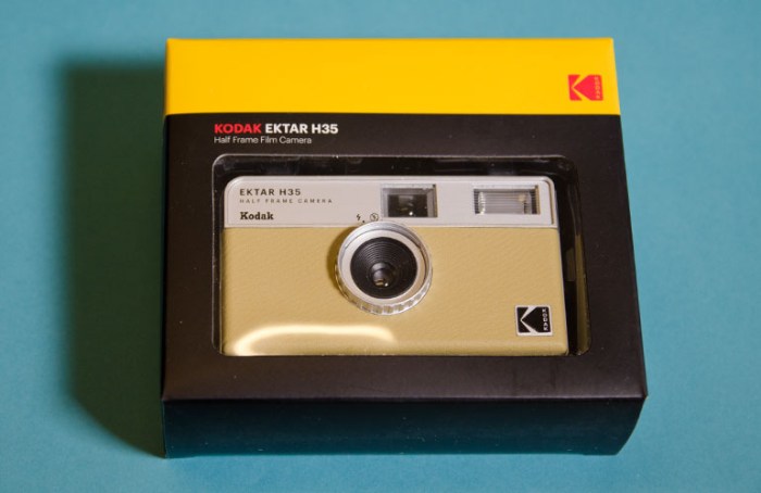 kodak-ektar-h35-homok