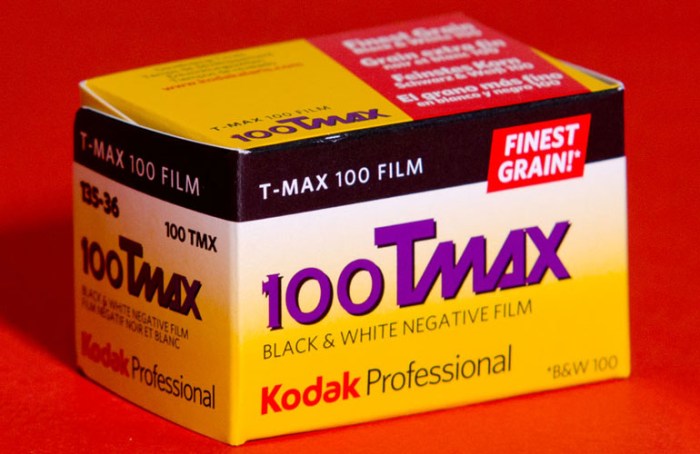 kodak-tmax-100-367