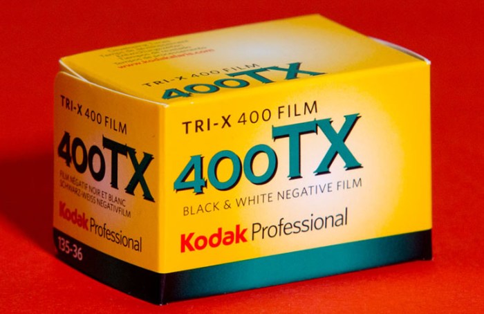 kodak-trix-368