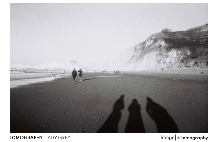 lomoladygrey
