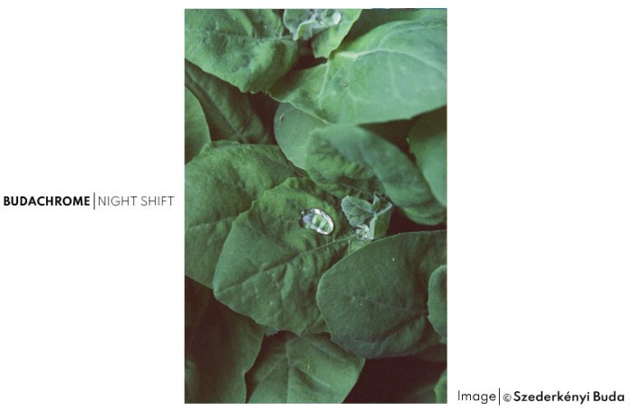 nIghtshift_29